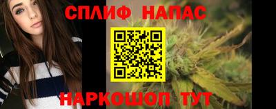 прущие грибы Можга