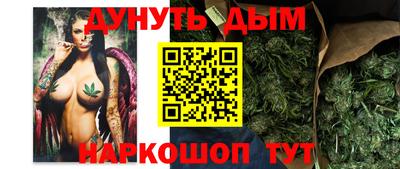 прущие грибы Можга