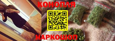 прущие грибы Можга