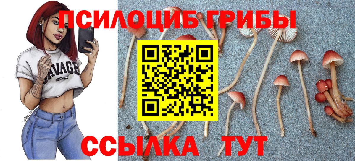 Псилоцибиновые грибы мицелий  Вход с VPN  Севастополь 